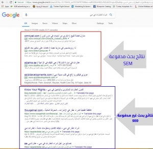 نتائج بحث غير مدفوعة SEO